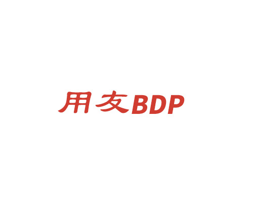  ����BDP